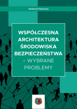 Współczesna architektura środowiska bezpieczeństwa – wybrane problemy